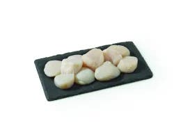 Jumbo Wild Caught Sea Scallops