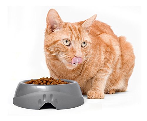 slide 4 of 8, Petmate Ultra Lightweight Bowl, 1 ct