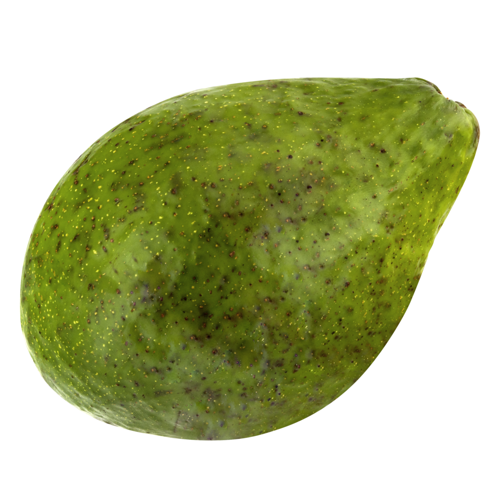 slide 1 of 1, Avocado (Florida), 1 ct