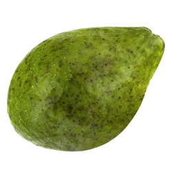 Avocado (Florida)