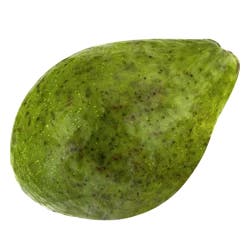 Avocado (Florida)