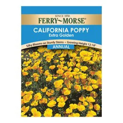 Ferry Morse Marigold