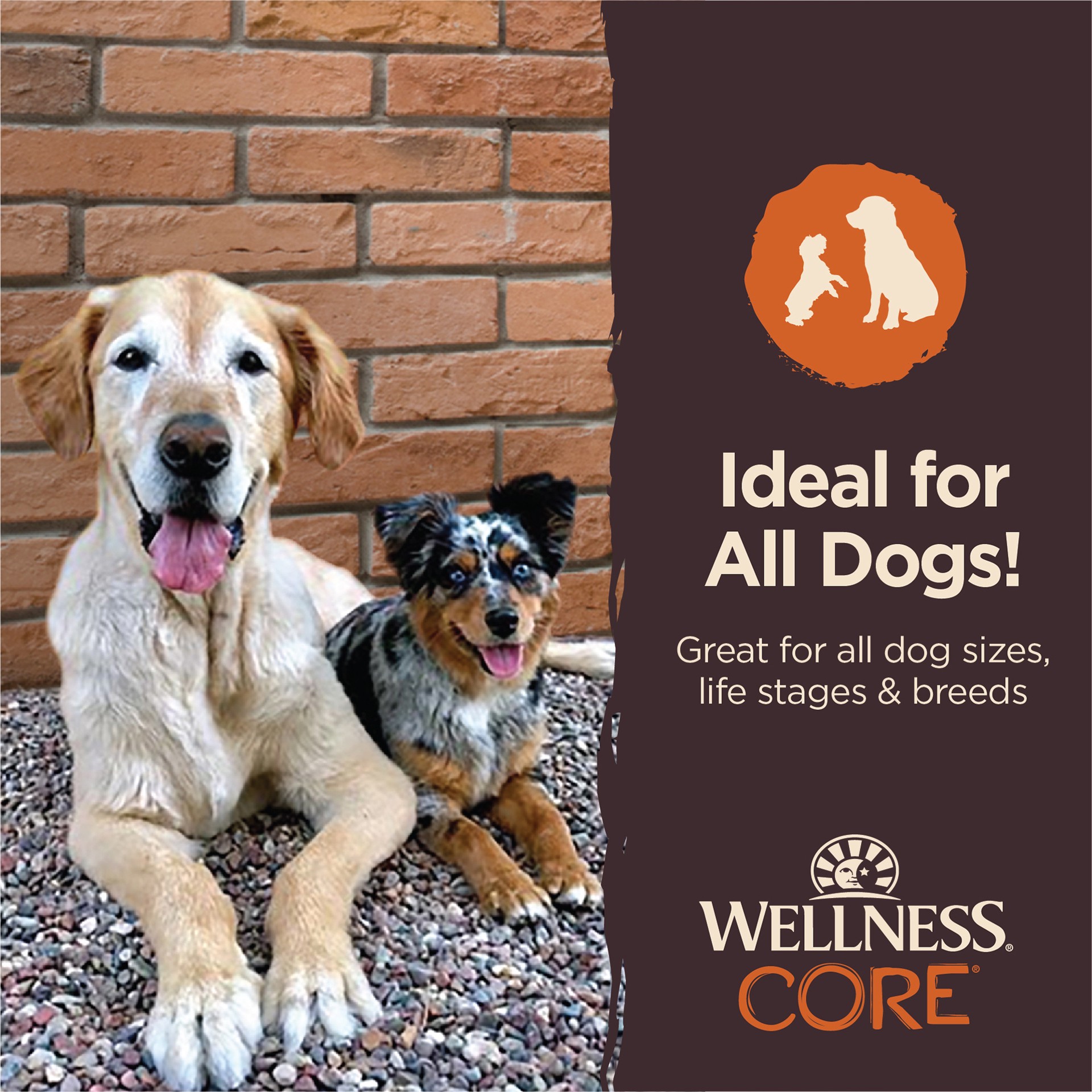slide 3 of 4, Wellness CORE Dog Treats, Natural, Grain Free, Tender Jerky, Chicken & Lamb (4 Ounce Bag), 1 ct