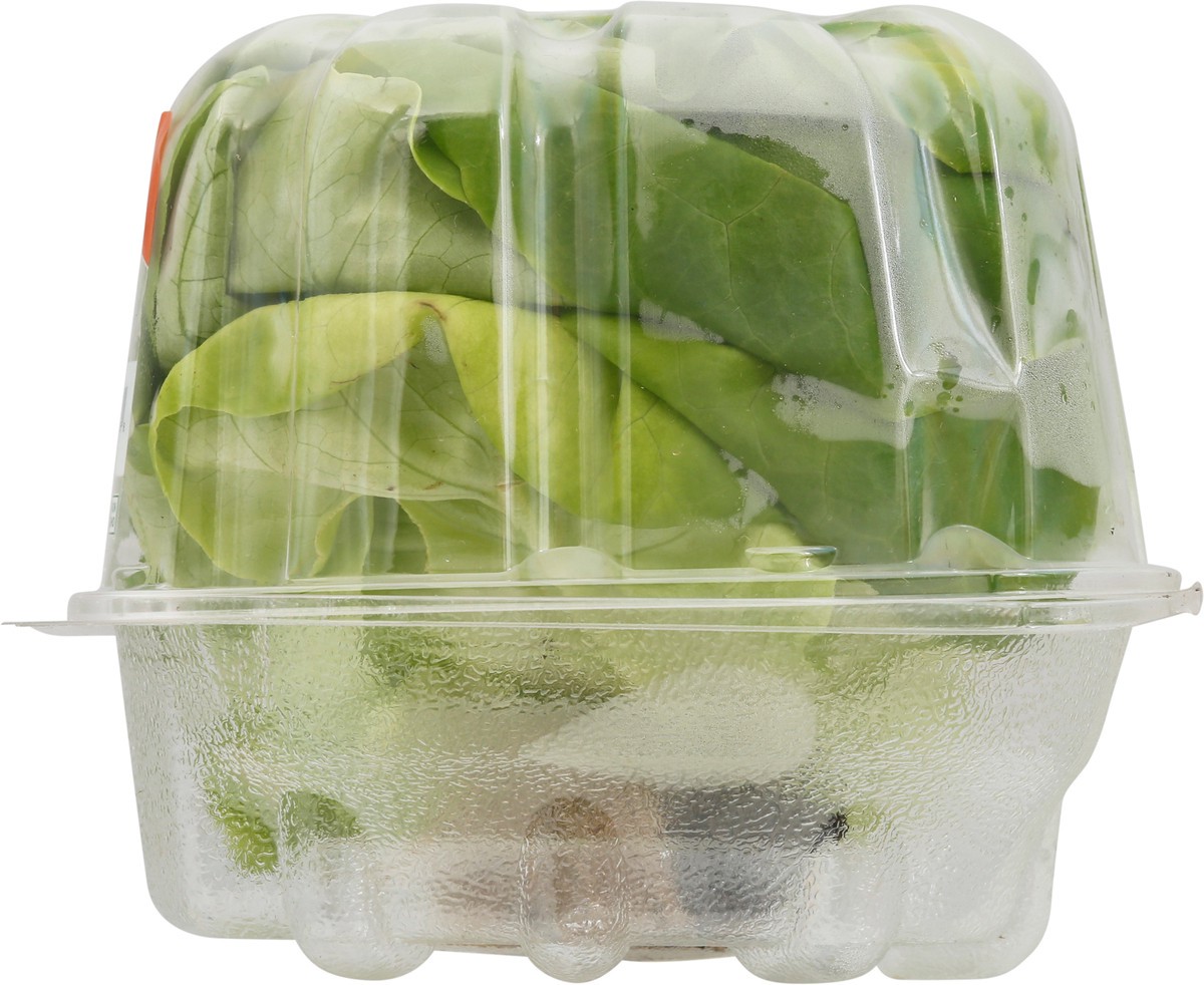 slide 9 of 12, Vertical Roots Green Butter Living Lettuce 3.75 oz, 1 ct