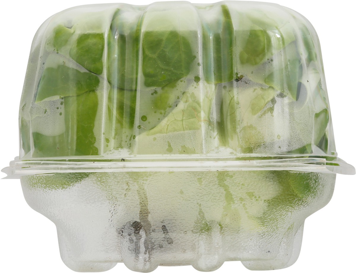 slide 11 of 12, Vertical Roots Green Butter Living Lettuce 3.75 oz, 1 ct