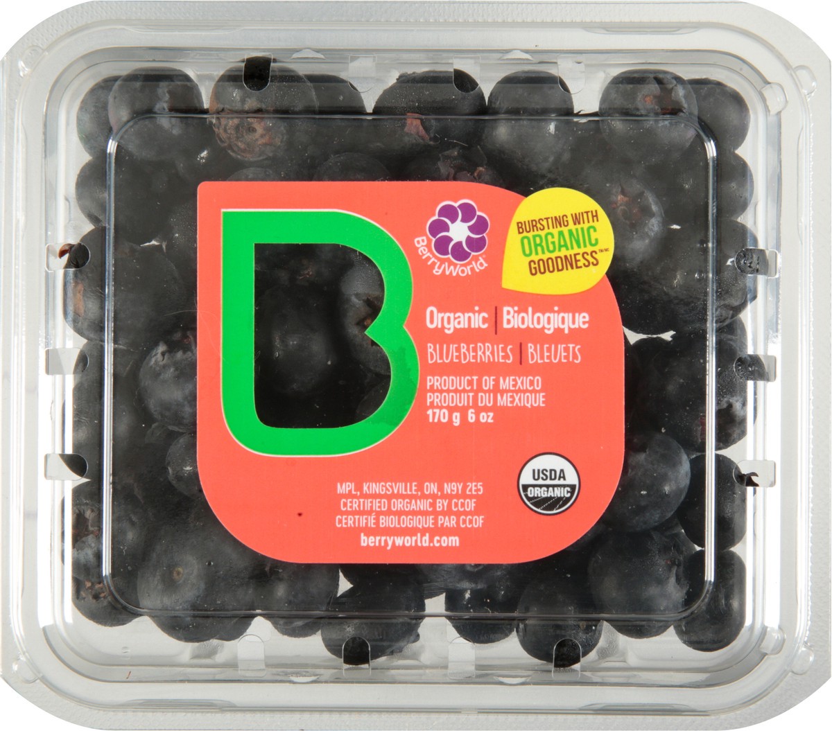 slide 3 of 12, BerryWorld Organic Blueberries 6 oz, 6 oz