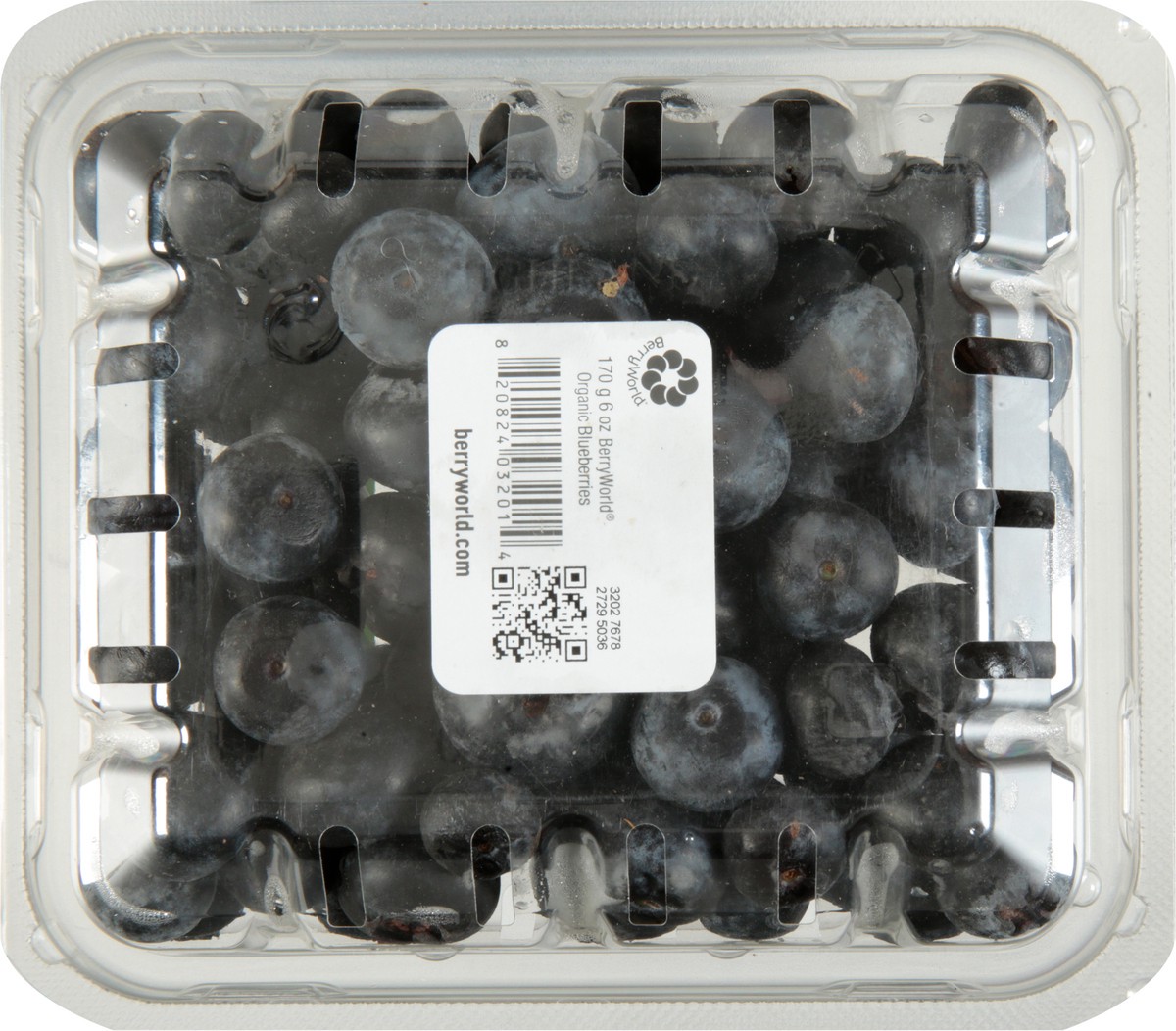 slide 10 of 12, BerryWorld Organic Blueberries 6 oz, 6 oz