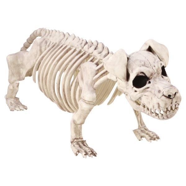 slide 1 of 1, Halloween Puppy Bones Decor (Where Available), 20 in