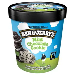 Ben & Jerry's Ice Cream Mint Chocolate Cookie, 16 oz