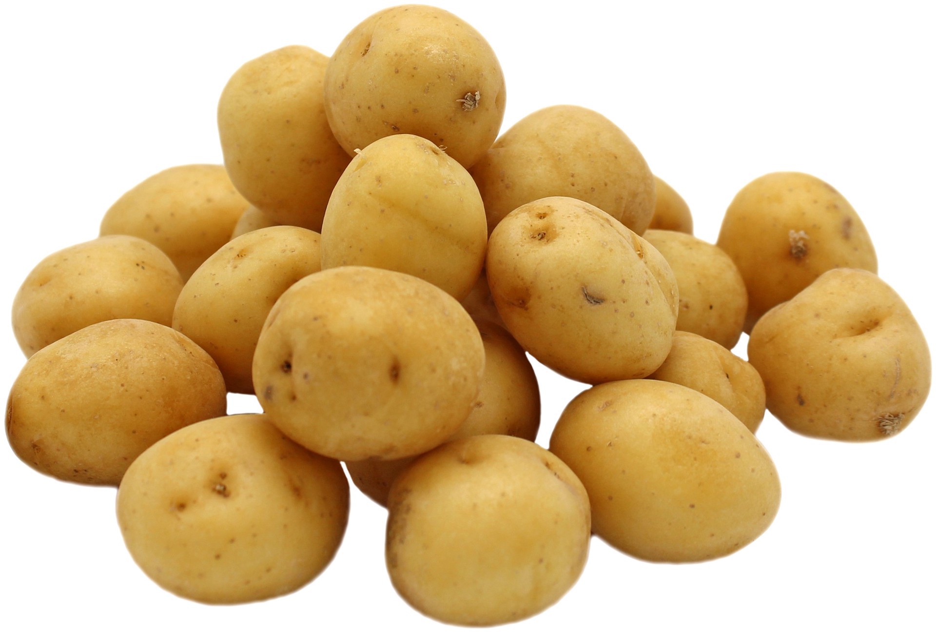 slide 1 of 1, Dutch Yellow Peewee Potatoes, per lb