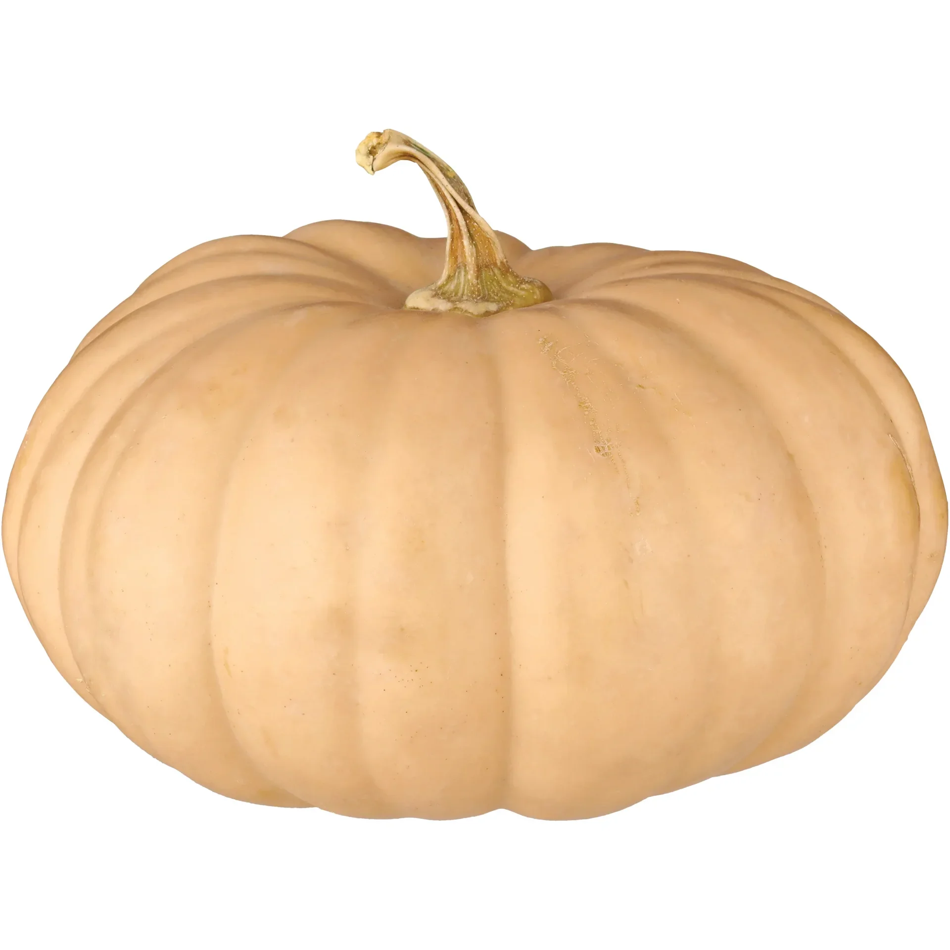 slide 1 of 1, H-E-B Texas Roots Sweet Hazel Baking Pumpkin, 1 lb