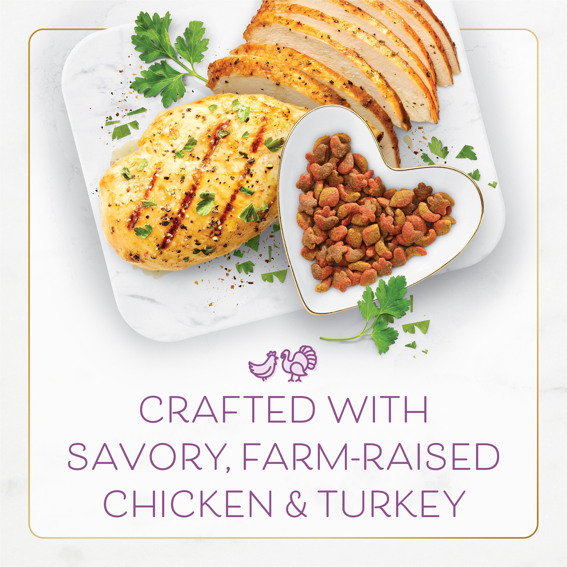 slide 4 of 9, Fancy Feast Purina Fancy Feast Dry Cat Food with Savory Farm-Raised Chicken and Turkey, 7 lb