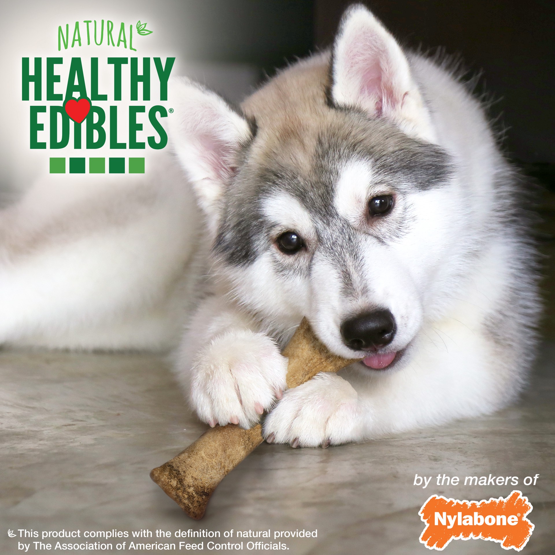 slide 3 of 8, Nylabone Healthy Edibles Puppy Animal-Shaped Lamb & Apple Dog Chew Treats X-Large/Souper - 50+ lbs.(1 Count), 1 ct
