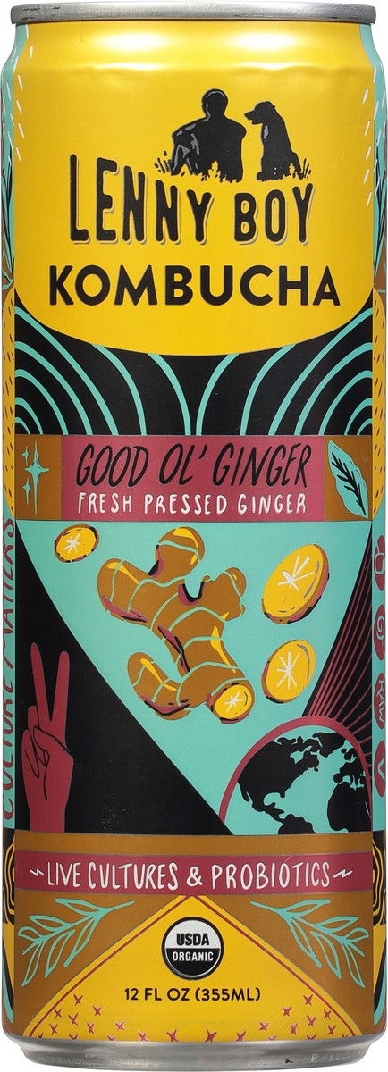 slide 8 of 9, Lenny Boy Good Ol' Ginger Kombucha - 12 fl oz, 12 fl oz