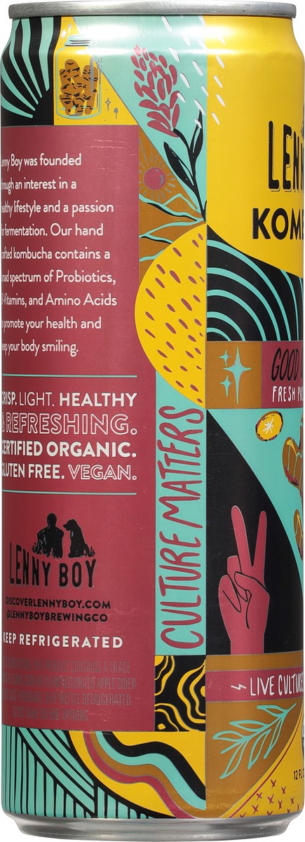 slide 4 of 9, Lenny Boy Good Ol' Ginger Kombucha - 12 fl oz, 12 fl oz
