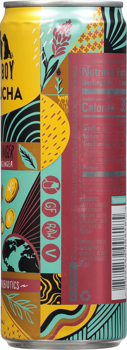 slide 6 of 9, Lenny Boy Good Ol' Ginger Kombucha - 12 fl oz, 12 fl oz