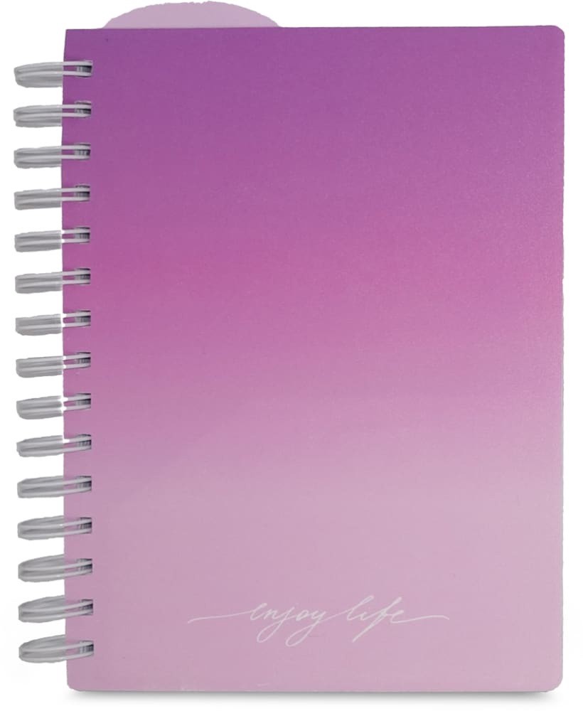 slide 1 of 2, PlanAhead Ombre Poly Tabbed Journal - Assorted, 1 ct