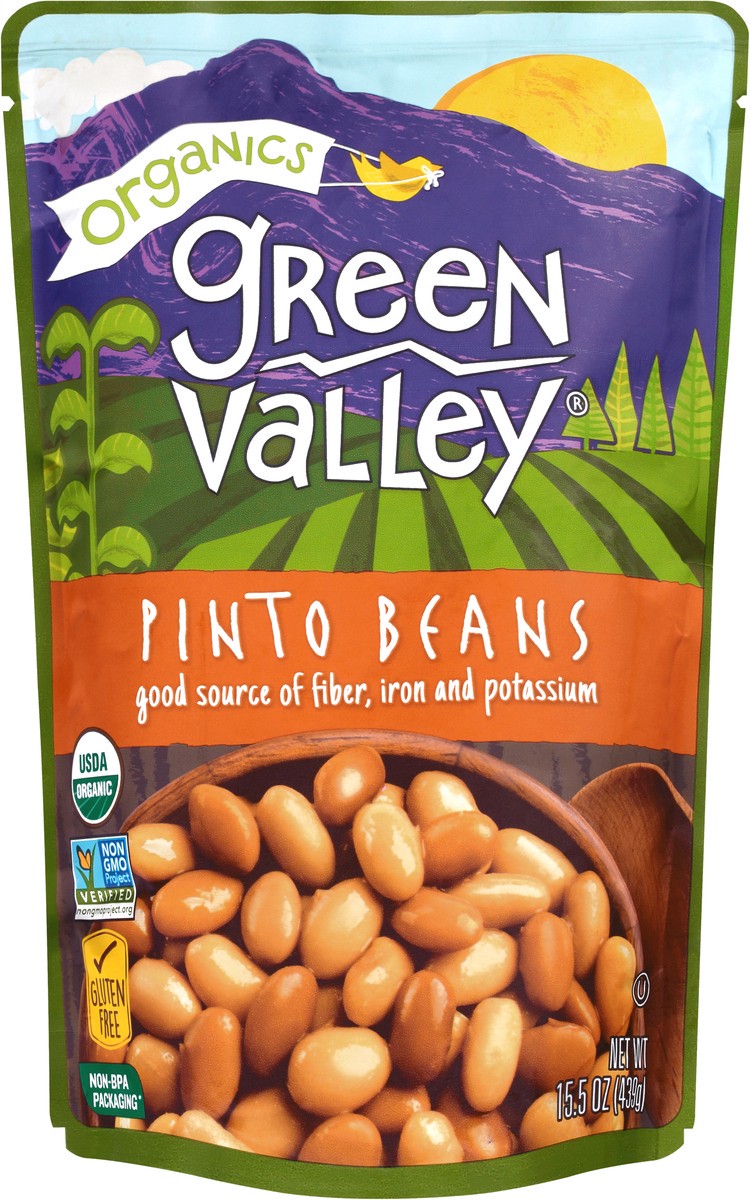 slide 5 of 6, Green Valley Organics Organics Pinto Beans, 15.5 oz, 15.5 oz