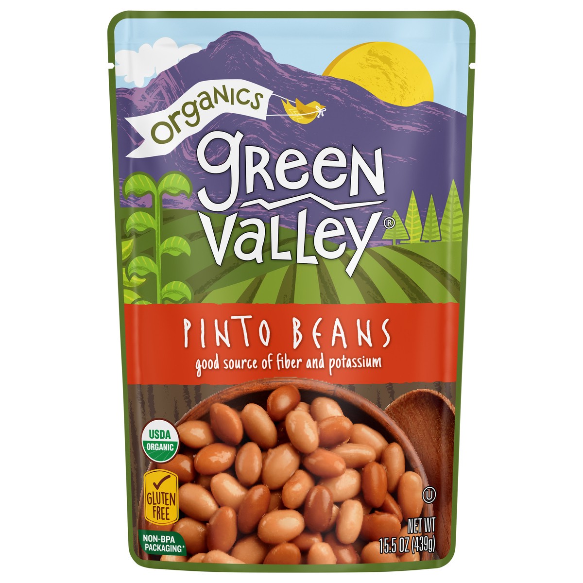 slide 1 of 6, Green Valley Organics Organics Pinto Beans, 15.5 oz, 15.5 oz