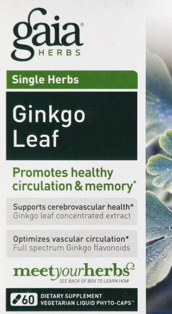 slide 1 of 4, Gaia Ginkgo Leaf, 60 ct
