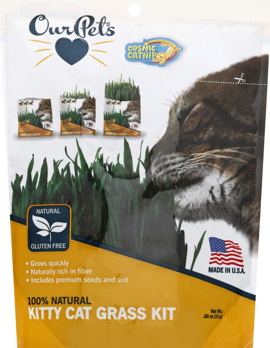 slide 5 of 10, OurPets Cosmic Catnip Kitty Cat Grass Kit 0.88 oz, 0.88 oz