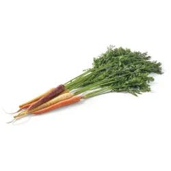 Fresh Organic Rainbow Carrots