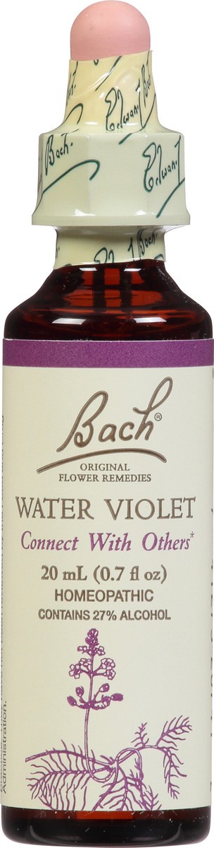 slide 6 of 11, Bach Original Flower Remedies Water Violet 0.7 fl oz, 0.7 fl oz