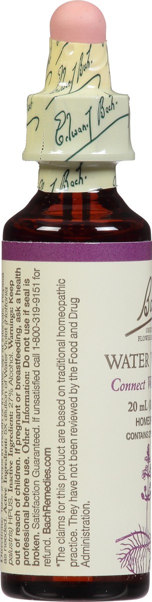 slide 4 of 11, Bach Original Flower Remedies Water Violet 0.7 fl oz, 0.7 fl oz