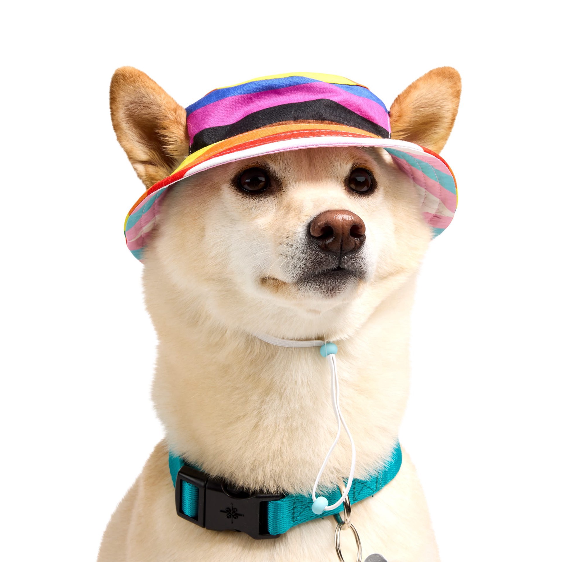 slide 1 of 1, YOULY Pride Reversible Bucket Dog Hat, Rainbow, Large/X-Large, 1 ct