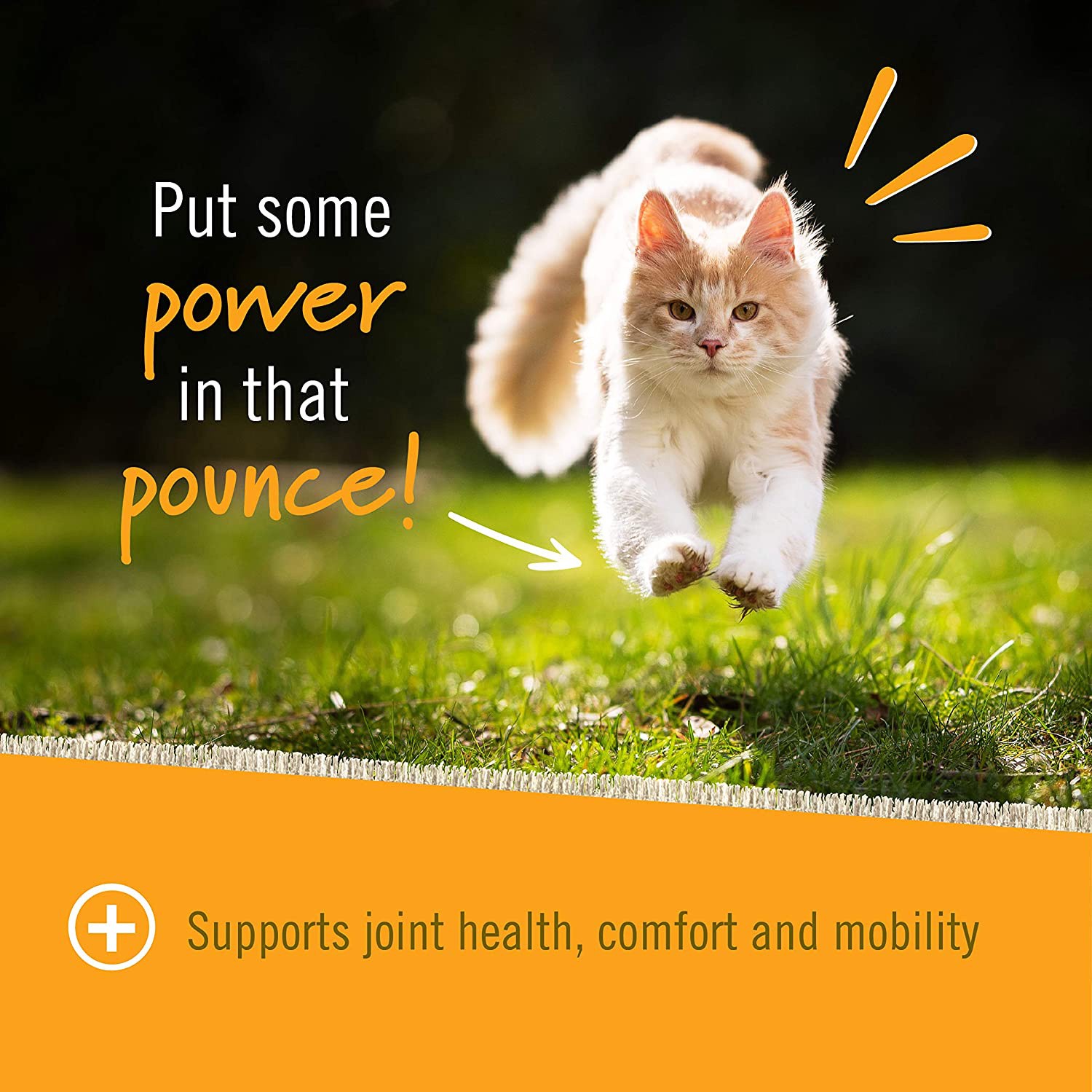 slide 5 of 6, Pet Naturals of Vermont Pet Nat Cat Hip/Joint, 30 ct