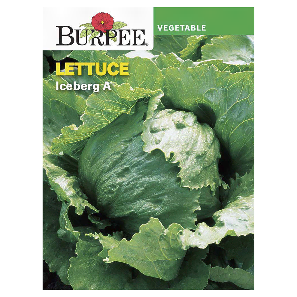 slide 1 of 5, Burpee Lettuce Iceberg A Seeds, 1 ct