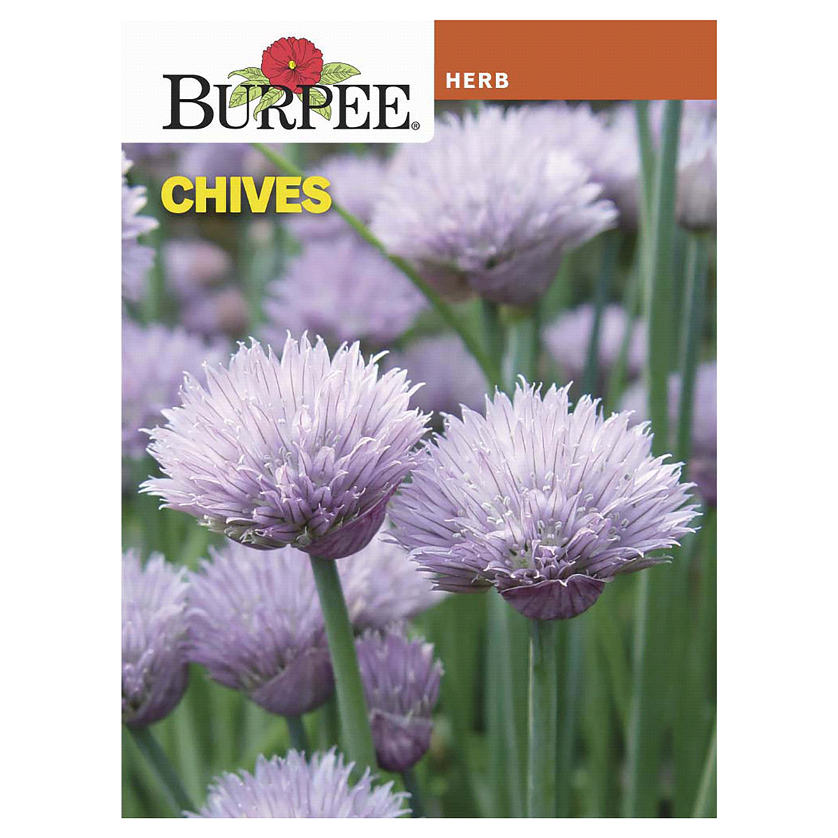 slide 1 of 5, Burpee Chives Common Seeds, 1 ct