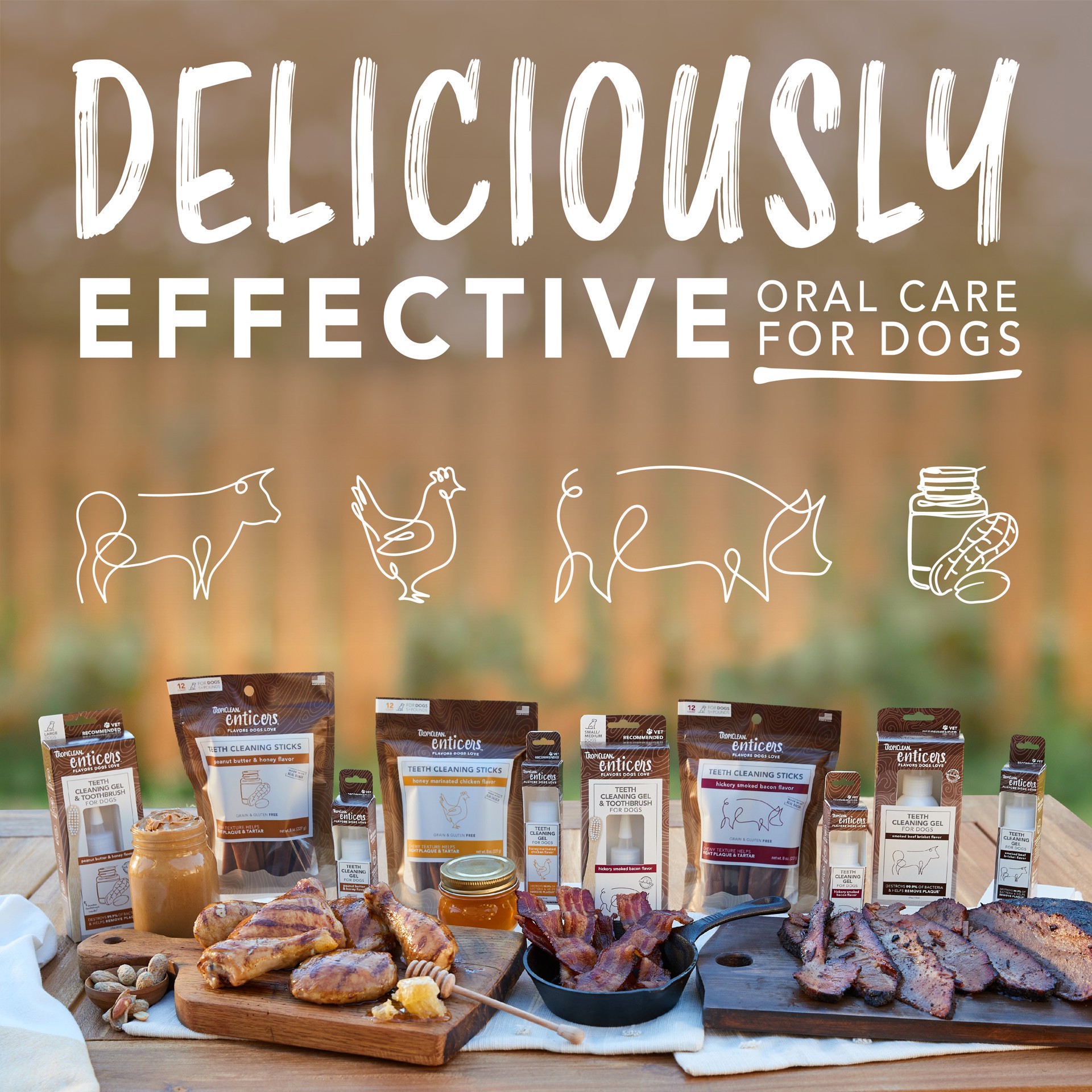 slide 9 of 9, TropiClean Sunsetting - TropiClean Enticers Teeth Cleaning Gel & Toothbrush for S/M Dogs - Peanut Butter & Honey Flavor, 2oz, 2 oz