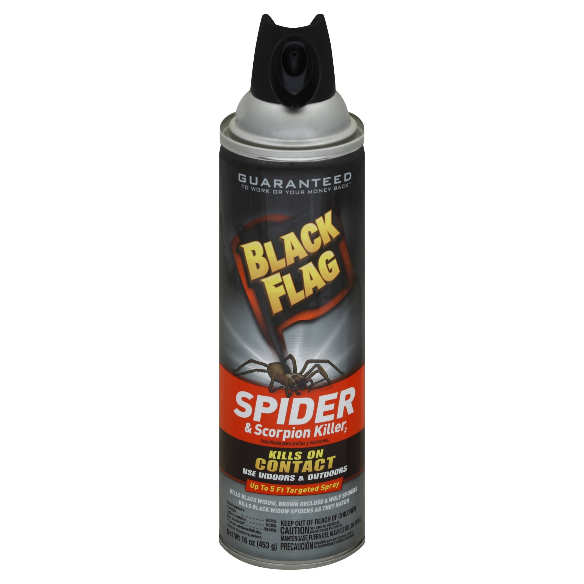 slide 1 of 1, Black Flag Spider & Scorpion Killer Aerosol, 16 oz