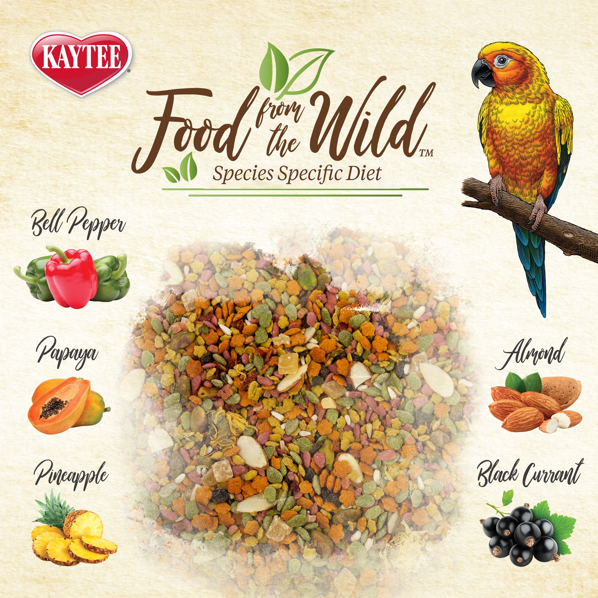 slide 6 of 10, Kaytee Food from the Wild Conure, 2.5 lb, Hand Selected Ingredients, 2.5 lb