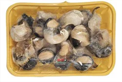 Shell Fish-Othe Scungilli