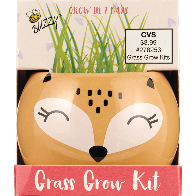 slide 1 of 1, NON BRAND Val Grow Kit, 1 ct