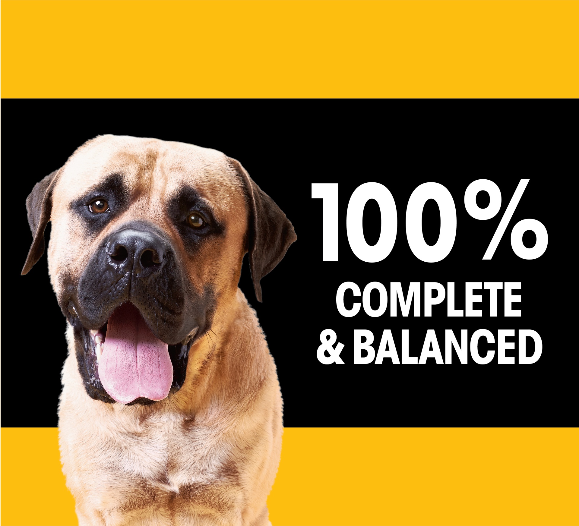 slide 4 of 7, PEDIGREE For Big Dogs Adult Complete Nutrition Large Breed Dry Dog Food Roasted Chicken, Rice & Vegetable Flavor Dog Kibble, 17 lb