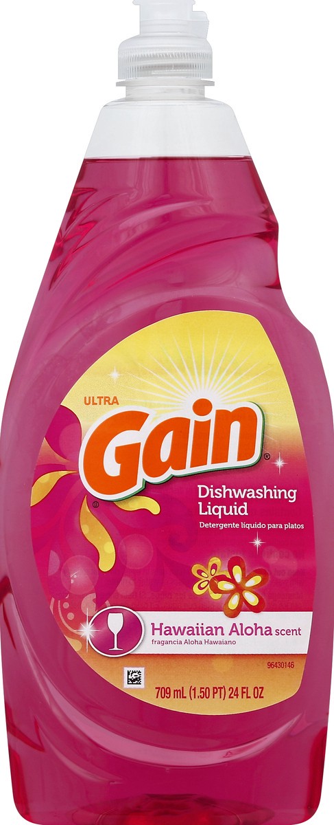 slide 1 of 3, Gain Dishwashing Liquid 24 oz, 24 oz