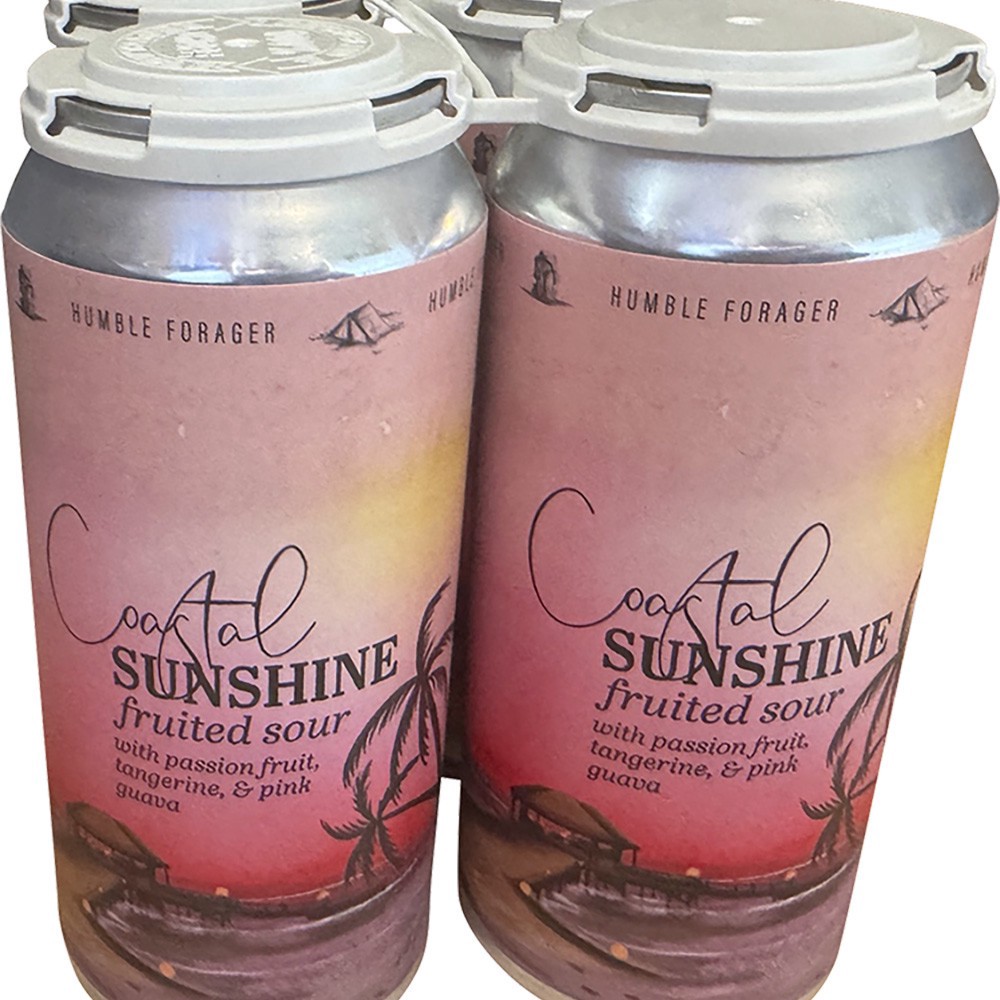 slide 1 of 1, Humble Forager Coastal Sunshine 19, 4 ct; 16 oz