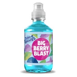 Tum-E Yummies Big Berry Blast Bottle - 10.1 oz