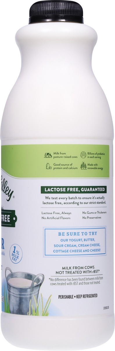 slide 10 of 14, Green Valley Creamery Green Valley Kefir, Lactose Free, Lowfat, Plain, 1% Milkfat, 32 fl oz