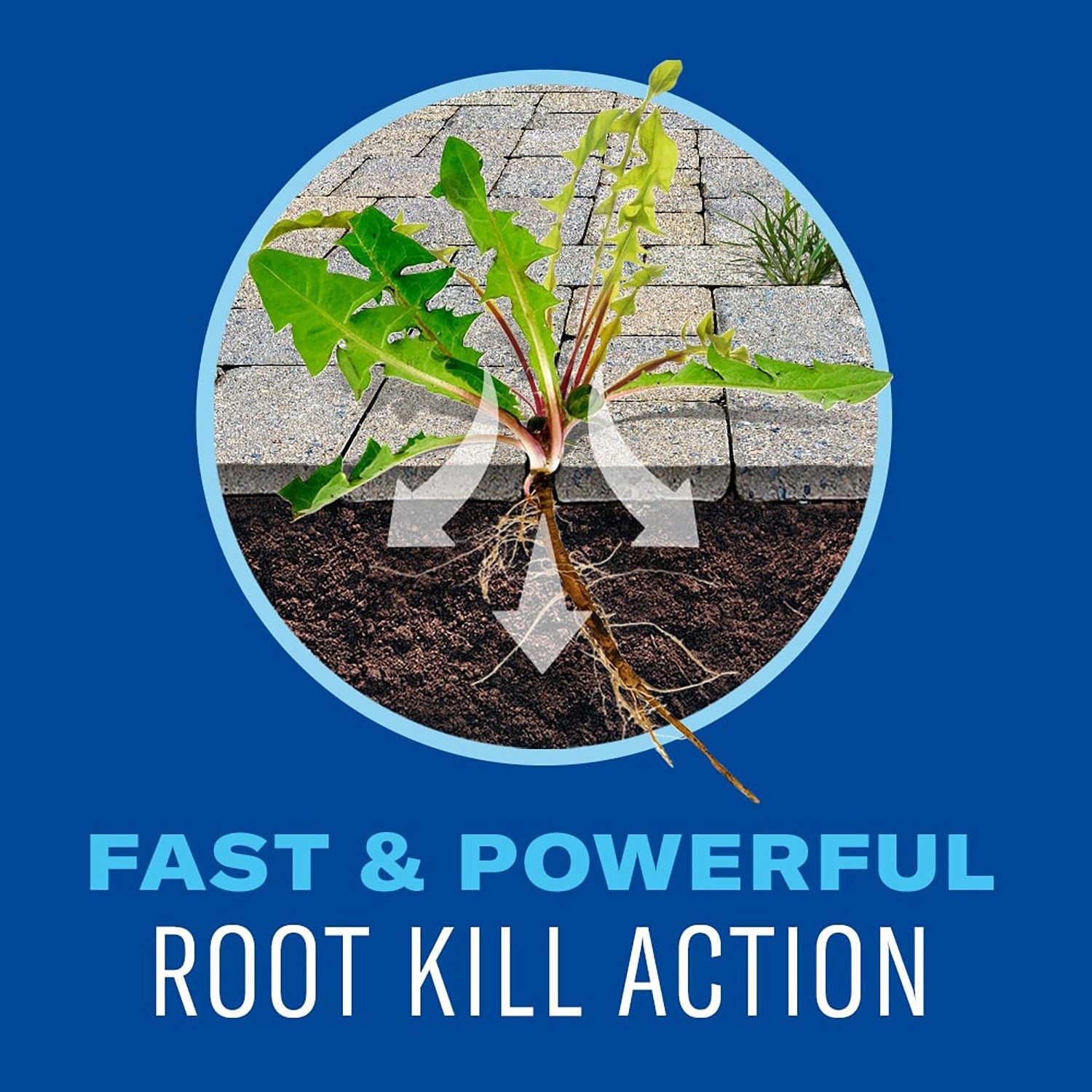 slide 2 of 6, BioAdvanced Weed & Grass Killer, Ready-to-Use, 1 Gallon, 1 gal