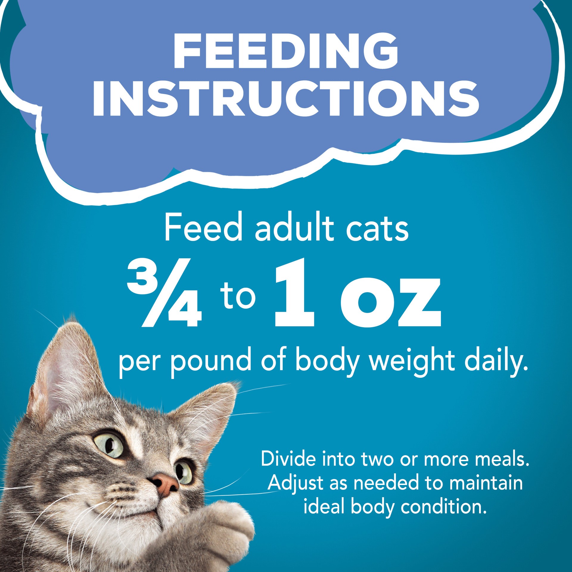 slide 7 of 7, Purina Friskies Shreds Wet Cat Food with White Fish & Sardines In Sauce - 5.5oz, 