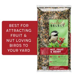 Morning Song Melody Select Nut Fruit & Berry Bird Food