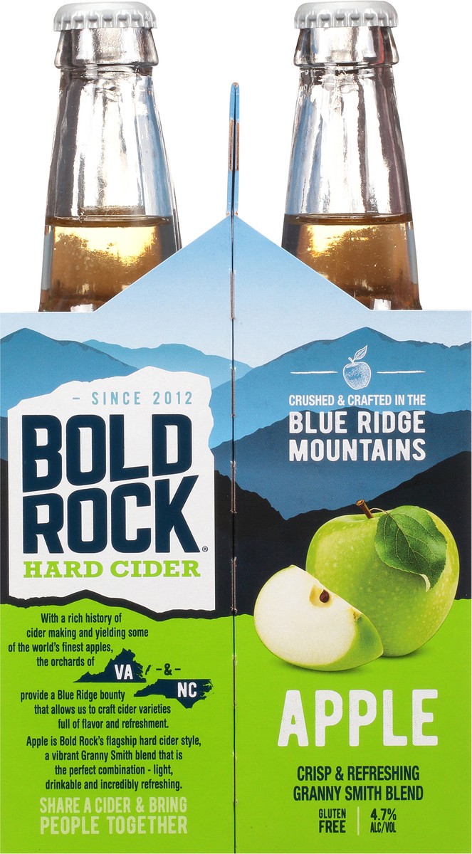 slide 8 of 9, Bold Rock Apple Cider, 72 fl oz