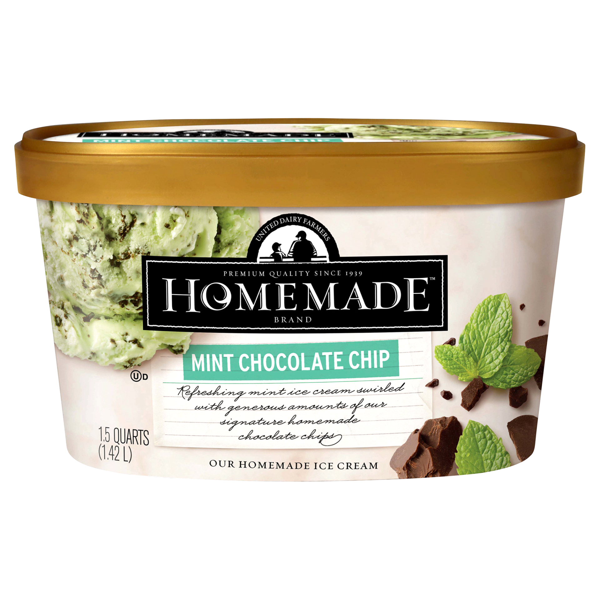 slide 1 of 1, Homemade Brand Mint Chocolate Chip Ice Cream, 48 oz