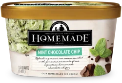 Homemade Mint Chocolate Chip Ice Cream