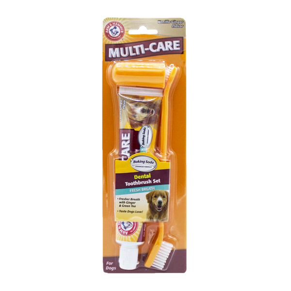 slide 1 of 1, ARM & HAMMER Toothbrush & Toothpaste Set for Dogs in Vanilla Ginger Flavor, 1 ct