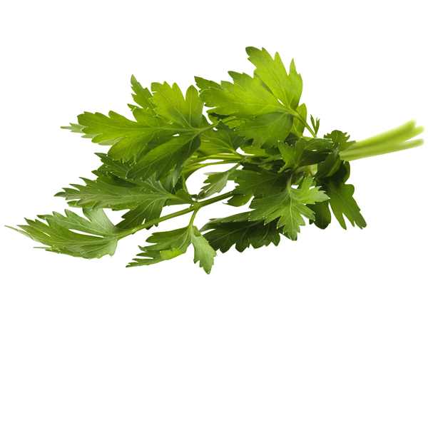 slide 1 of 1, Parsley Italian, 1 ct